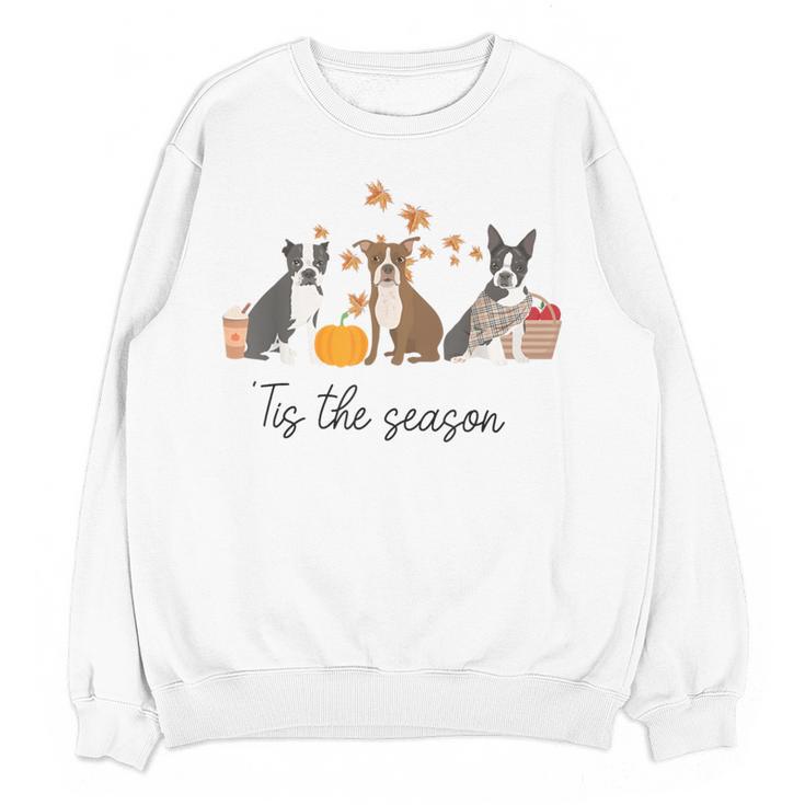 Boston Terrier Fall Pumpkin Tis The Season Autumn Women Women Crewneck Sweatshirt, novelty gifts, funny gifts