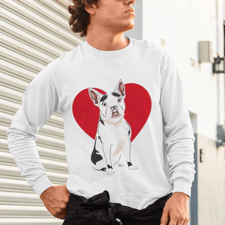 Valentine's Day Boston Terrier Lover Unisex Long Sleeve T-Shirt, gift for family, gift for coworker
