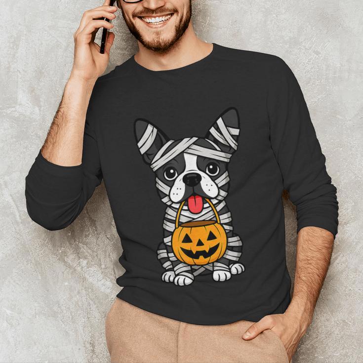 Halloween Dog Boston Terrier Mummy Costume Men Women Kids Unisex Long Sleeve T-Shirt, funny gift