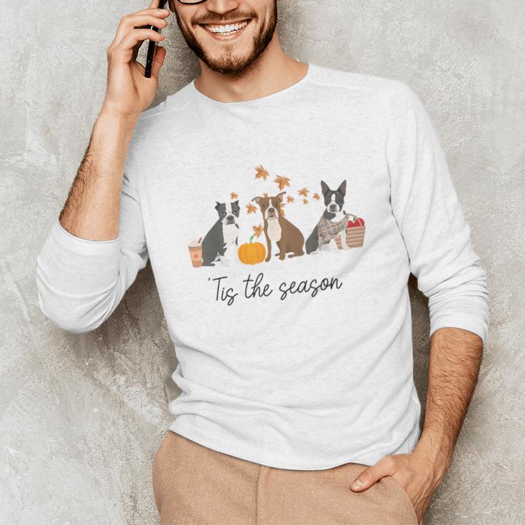 Boston Terrier Fall Pumpkin Tis The Season Autumn Women Unisex Long Sleeve T-Shirt, funny gift