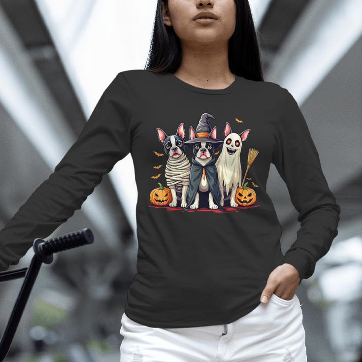 Boston Terrier Halloween Costume Mummy Witch Ghost Dog Lover For Men Women Kids Unisex Long Sleeve T-Shirt, novelty gifts, funny gifts