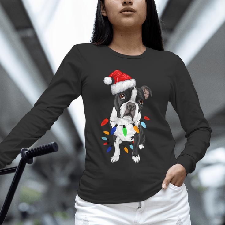 Boston Terrier Santa Christmas Lights Xmas Dog Lover Men Women Kids Unisex Long Sleeve T-Shirt, novelty gifts, funny gifts