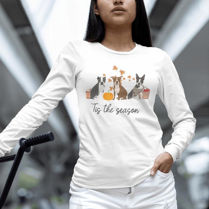 Boston Terrier Fall Pumpkin Tis The Season Autumn Women Unisex Long Sleeve T-Shirt, novelty gifts, funny gifts