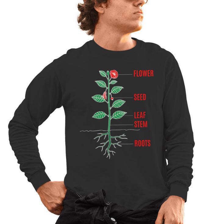 Parts Of a Plant Science For Teachers Kids And Students Men's Long Sleeve T-Shirt