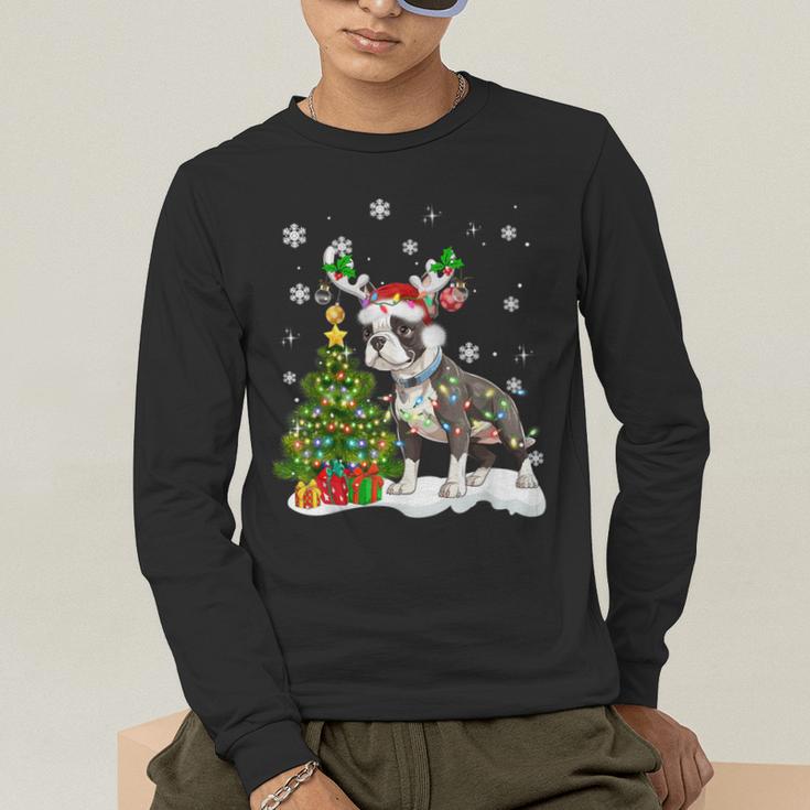 Boston Terrier Christmas Tree Lights Santa Hat Men's Long Sleeve T-Shirt, funny gift