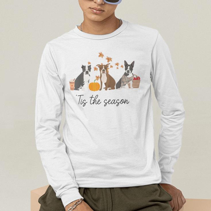 Boston Terrier Fall Pumpkin Tis The Season Autumn Women Men's Long Sleeve T-Shirt, funny gift
