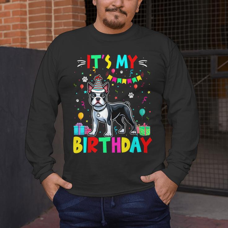 My Birthday Colorful Costume Boston Terrier Party Men's Long Sleeve T-Shirt, funny design