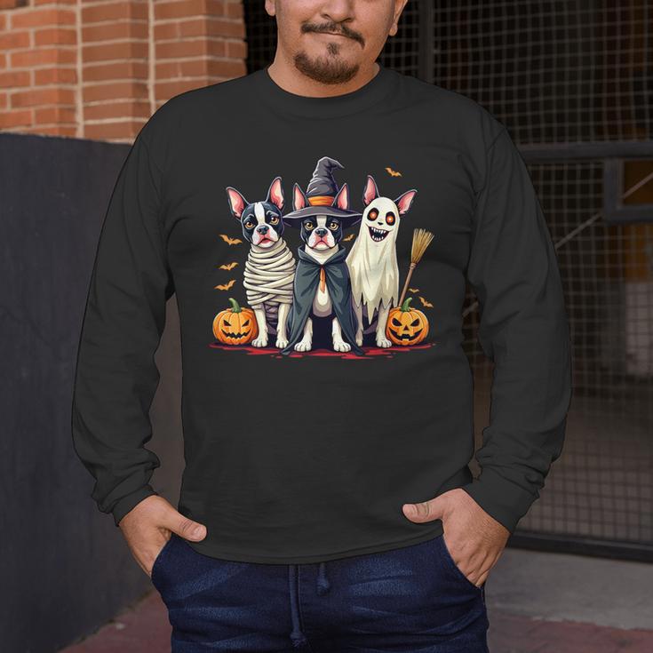 Boston Terrier Halloween Costume Mummy Witch Ghost Dog Lover For Men Women Kids Men's Long Sleeve T-Shirt, funny design
