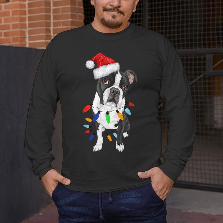 Boston Terrier Santa Christmas Lights Xmas Dog Lover Men Women Kids Men's Long Sleeve T-Shirt, funny design