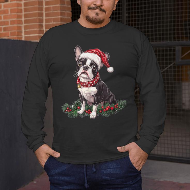 Cute Boston Terrier Dog Christmas Merry X-Mas Graphic Men's Long Sleeve T-Shirt, funny design