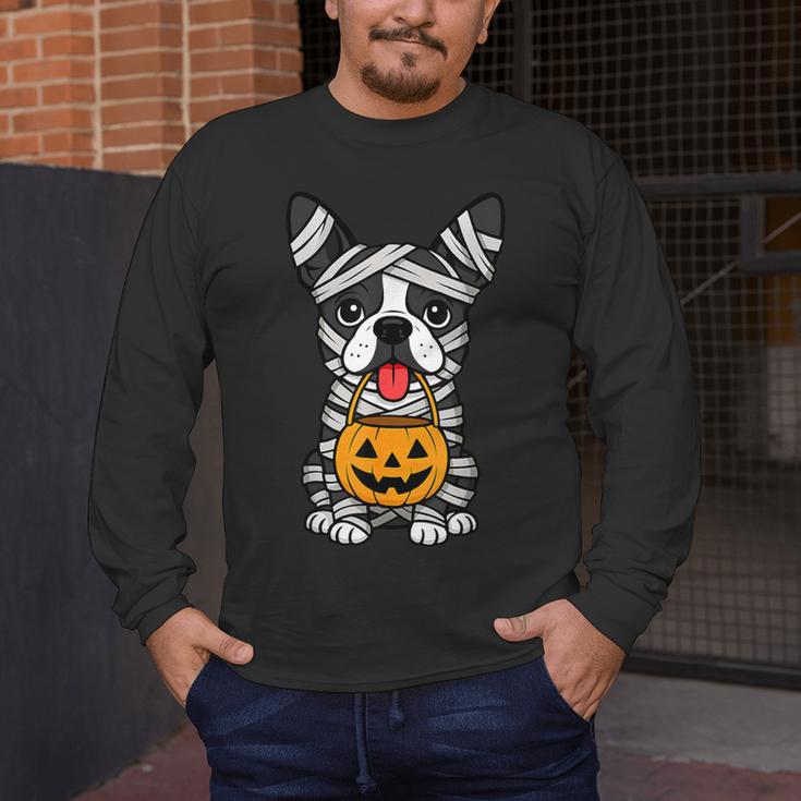 Halloween Dog Boston Terrier Mummy Costume Men Women Kids Men's Long Sleeve T-Shirt, funny design