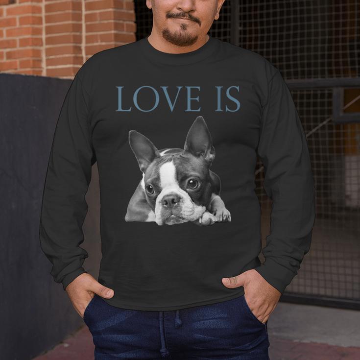 Love Is Boston Terrier Bostie Men's Long Sleeve T-Shirt, funny design