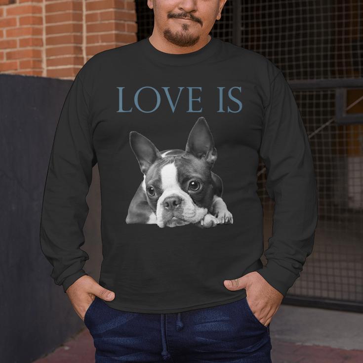 Love Is Boston Terrier Bostie Men's Long Sleeve T-Shirt, funny design