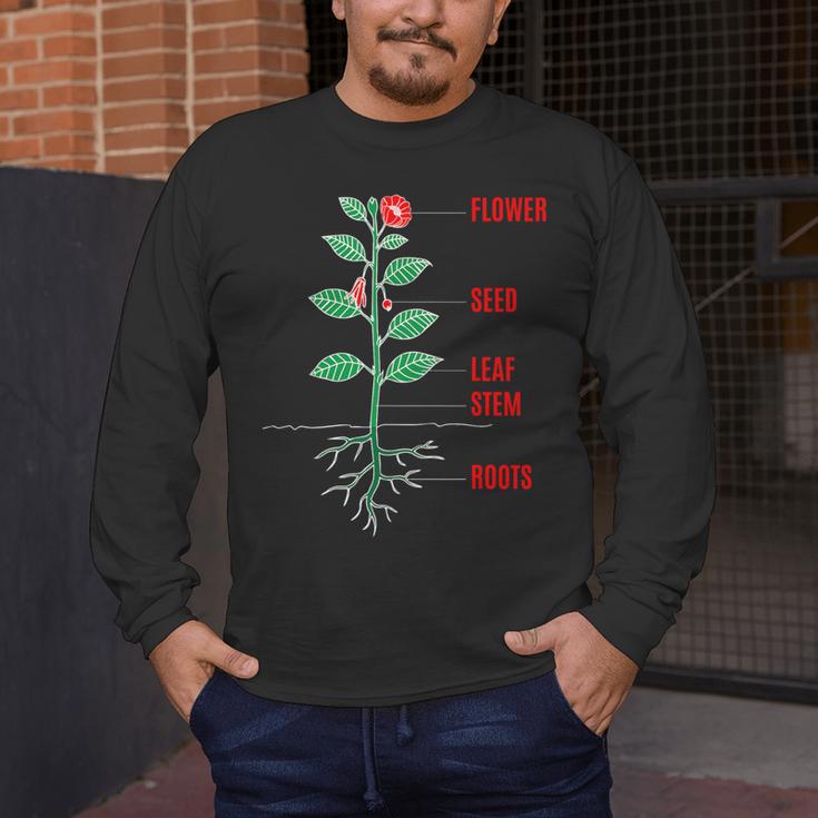 Parts Of a Plant Science For Teachers Kids And Students Men's Long Sleeve T-Shirt, funny design