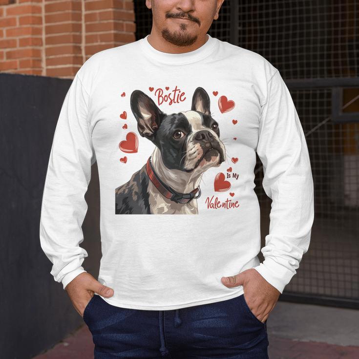 Boston Terrier Is My Valentine Cute Pet Dog Owner Valentine Men's Long Sleeve T-Shirt, funny design