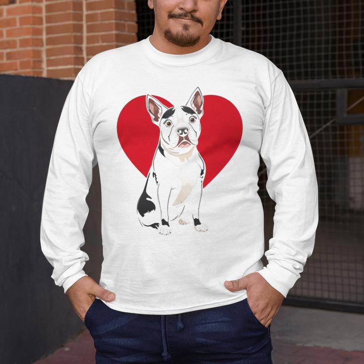 Valentine's Day Boston Terrier Lover Men's Long Sleeve T-Shirt, funny design