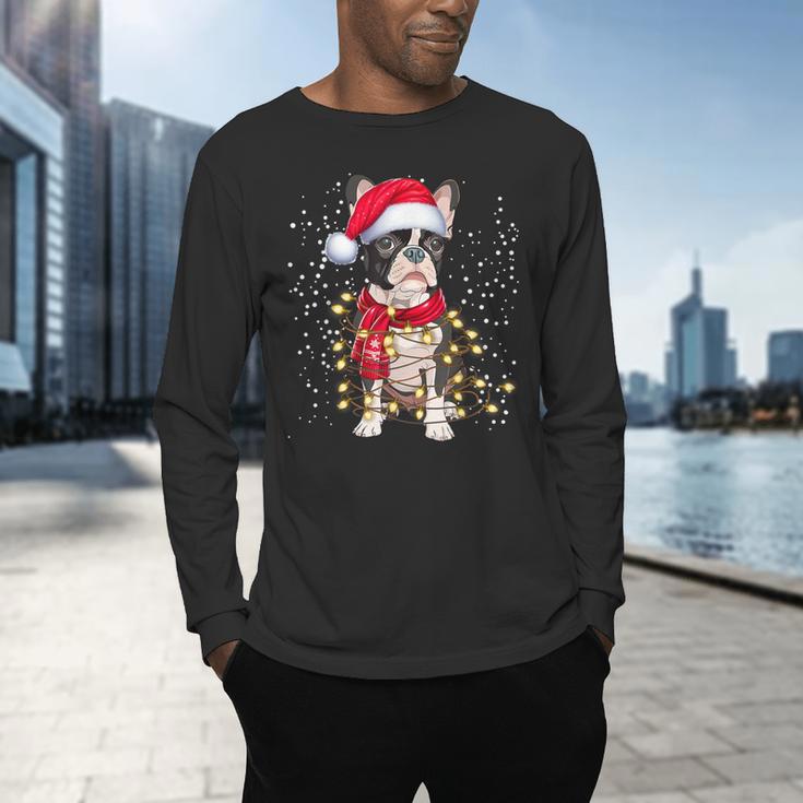 Boston Terrier Dog Ugly Christmas Dog Xmas For Men Women Kids Men's Long Sleeve T-Shirt, gift for family, gift for coworker
