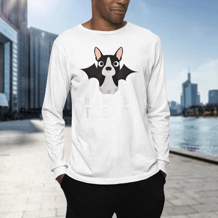 Boston Terrier Halloween Shirt Did Someone Say Treat Men's Long Sleeve T-Shirt, gift for family, gift for coworker