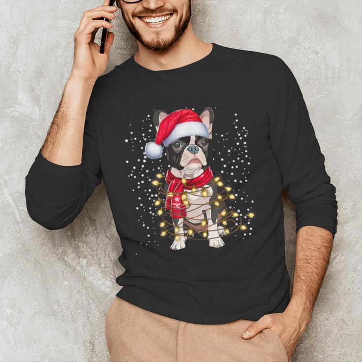 Boston Terrier Dog Ugly Christmas Dog Xmas For Men Women Kids Men's Long Sleeve T-Shirt, novelty gifts, funny gifts