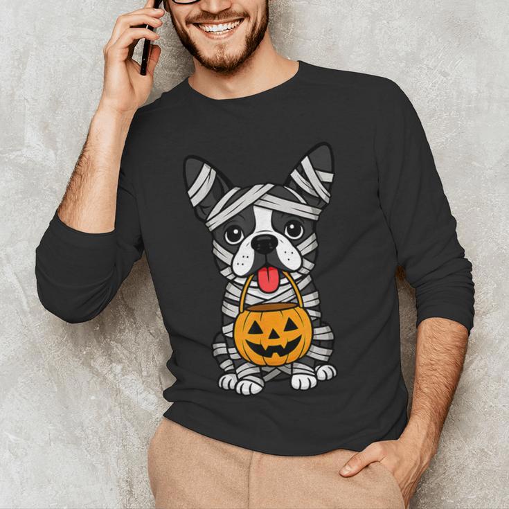 Halloween Dog Boston Terrier Mummy Costume Men Women Kids Men's Long Sleeve T-Shirt, novelty gifts, funny gifts