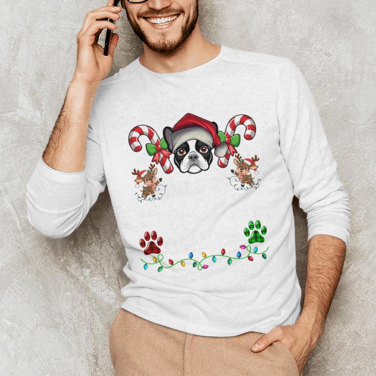 Most Likely Decorate Her Boston Terrier Dog Ugly Christmas Men's Long Sleeve T-Shirt, novelty gifts, funny gifts