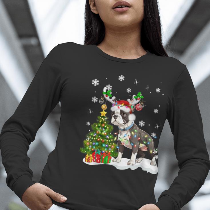 Boston Terrier Christmas Tree Lights Santa Hat Women Long Sleeve T-Shirt, Boston Terrier Christmas Shirts, funny gift