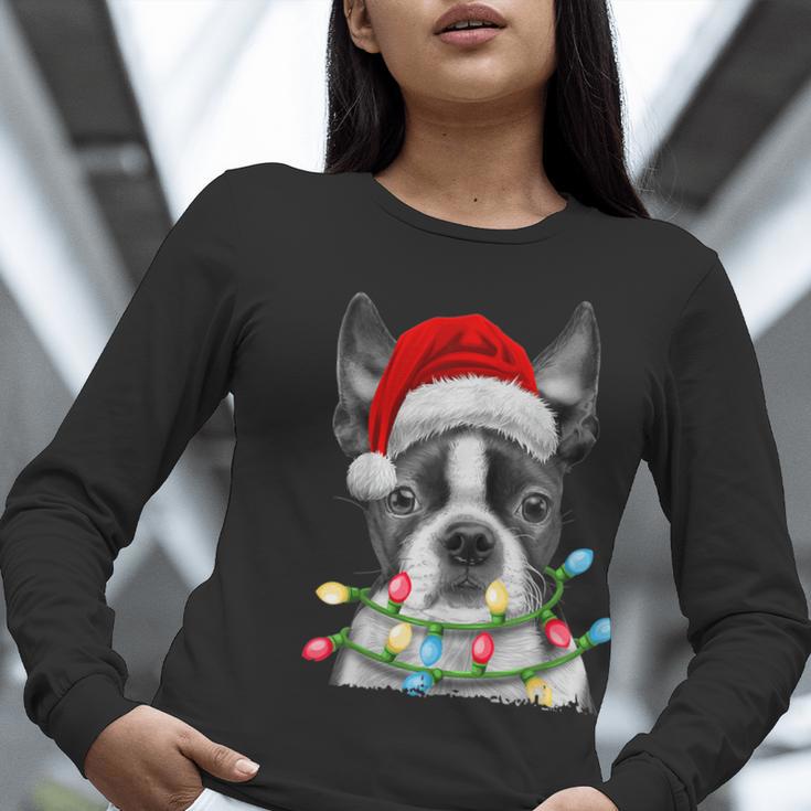 Boston Terrier Dog Santa Christmas Tree Lights Xmas Women Long Sleeve T-Shirt, Boston Terrier Christmas Shirts, funny gift