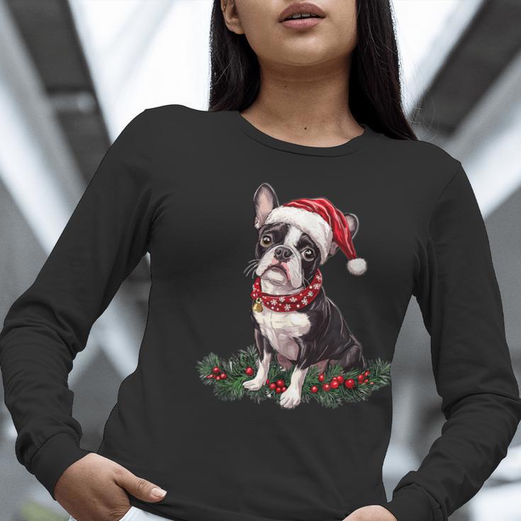 Cute Boston Terrier Dog Christmas Merry X-Mas Graphic Women Long Sleeve T-Shirt, Boston Terrier Christmas Shirts, funny gift