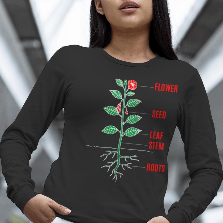 Parts Of a Plant Science For Teachers Kids And Students Women Long Sleeve T-Shirt, Science Teacher Shirts, funny gift Parts Of a Plant Science For Teachers Kids And Students Women Long Sleeve T-Shirt, Science Teacher Shirts, funny gift