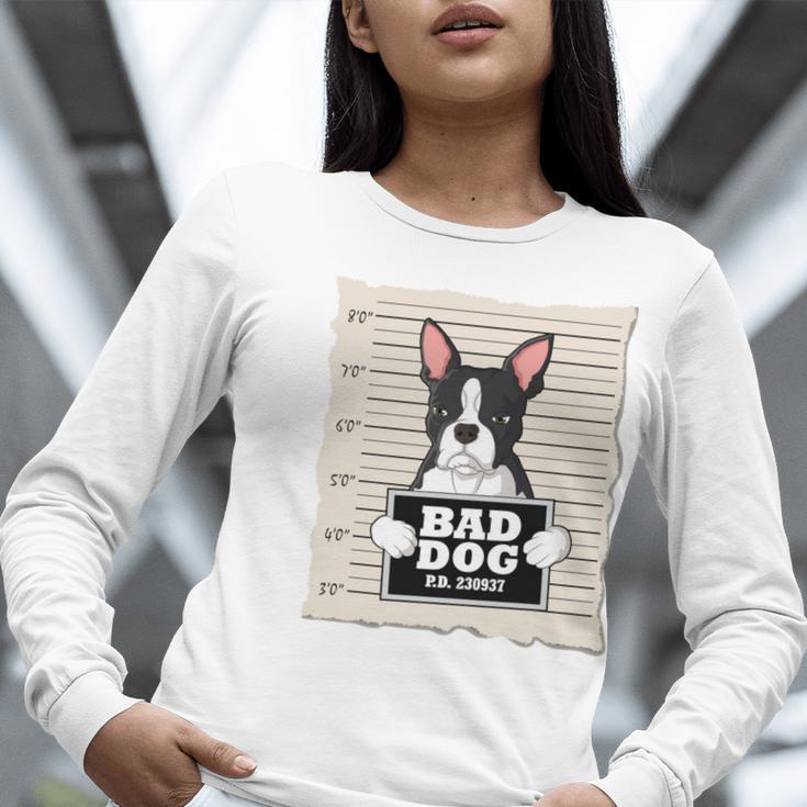 Boston Terrier Mug Shot Guilty Dog Women Long Sleeve T-Shirt, funny gift
