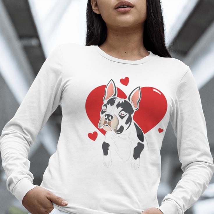 Valentine's Day Boston Terrier Heart Women Long Sleeve T-Shirt, funny gift
