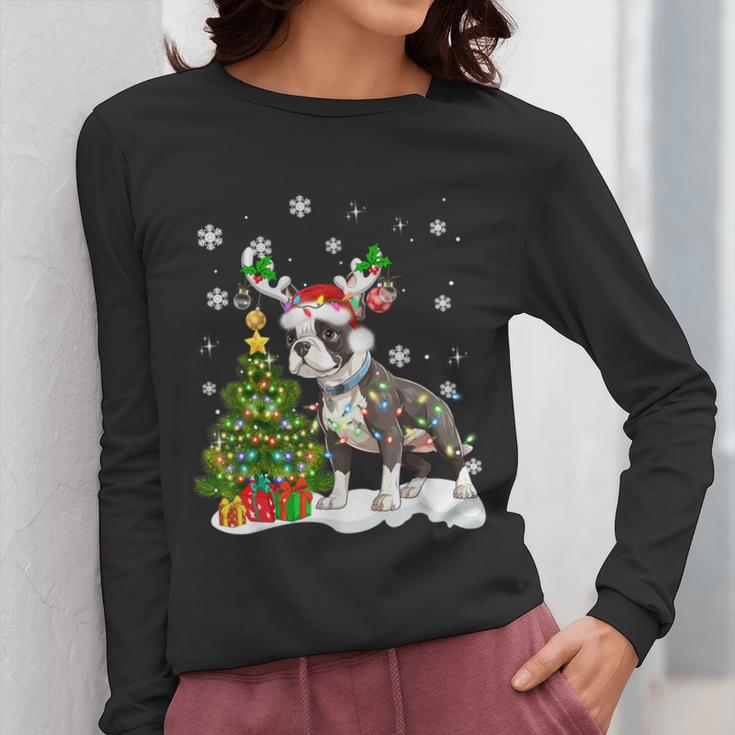 Boston Terrier Christmas Tree Lights Santa Hat Women Long Sleeve T-Shirt, Boston Terrier Christmas Gifts, funny design