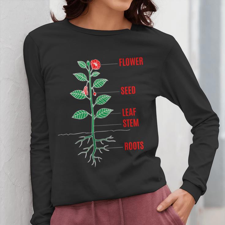 Parts Of a Plant Science For Teachers Kids And Students Women Long Sleeve T-Shirt, Science Teacher Gifts, funny design Parts Of a Plant Science For Teachers Kids And Students Women Long Sleeve T-Shirt, Science Teacher Gifts, funny design