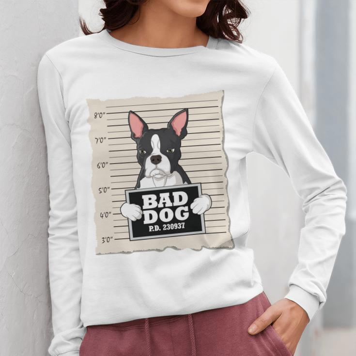 Boston Terrier Mug Shot Guilty Dog Women Long Sleeve T-Shirt, funny design