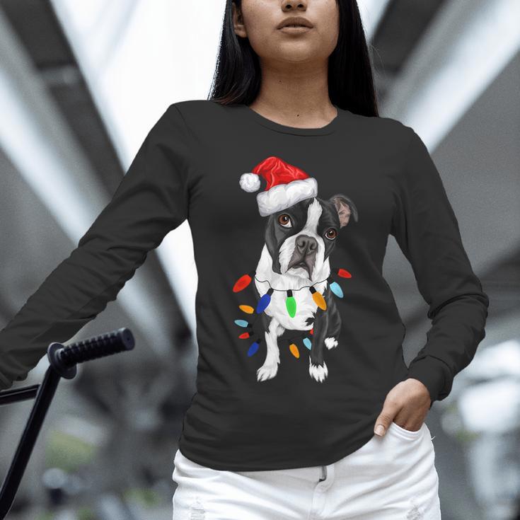 Boston Terrier Santa Christmas Lights Xmas Dog Lover Men Women Kids Women Long Sleeve T-Shirt, Boston Terrier Christmas Shirts, gift for family, gift for coworker