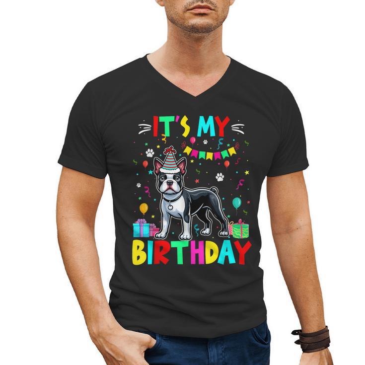My Birthday Colorful Costume Boston Terrier Party Men's V-Neck T-Shirt