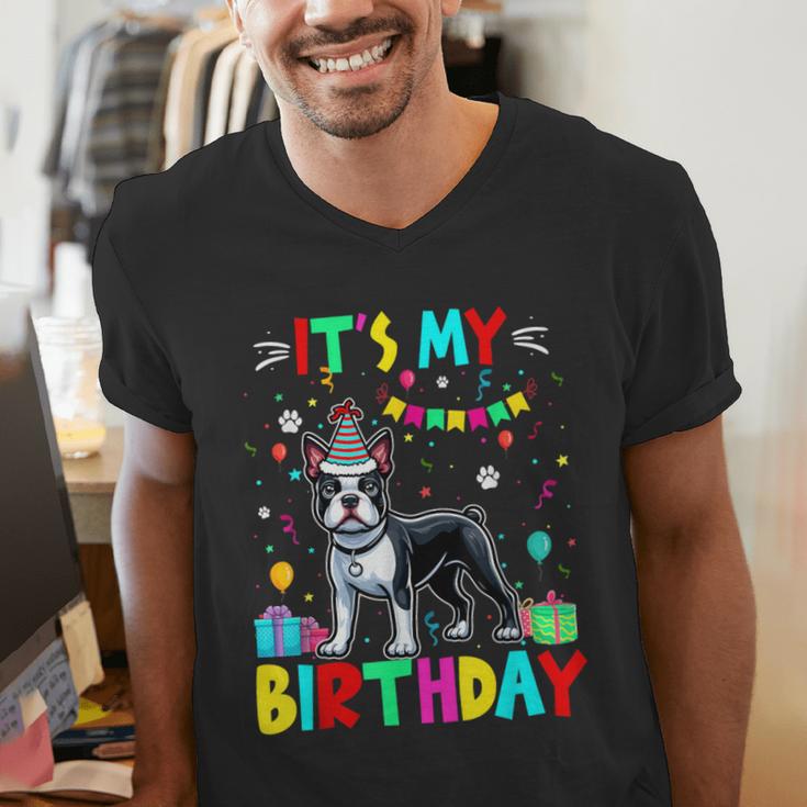 My Birthday Colorful Costume Boston Terrier Party Men's V-Neck T-Shirt, funny gift