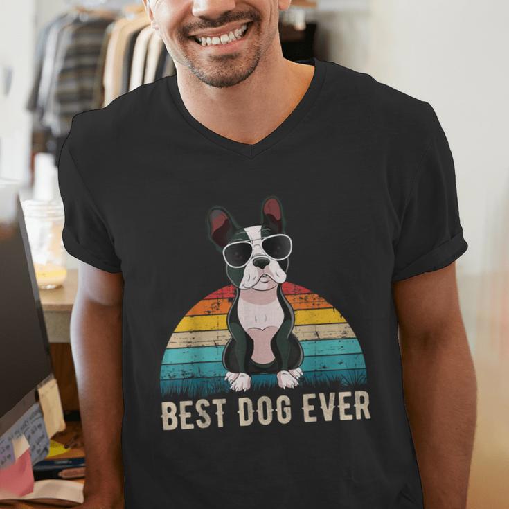 Boston Terrier Boston-Bulldog For Men Women Girls Kids Men's V-Neck T-Shirt, funny gift