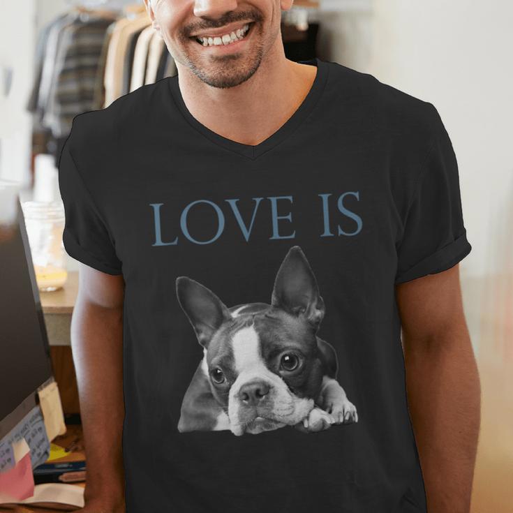 Love Is Boston Terrier Bostie Men's V-Neck T-Shirt, funny gift
