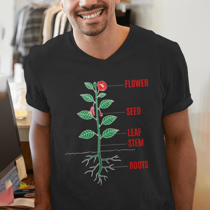 Parts Of a Plant Science For Teachers Kids And Students Men's V-Neck T-Shirt, Science Teacher Shirts, funny gift