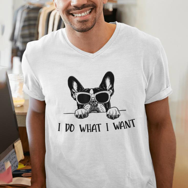 Boston Terrier Dog Owner I Do What I Want Pet Men's V-Neck T-Shirt, funny gift