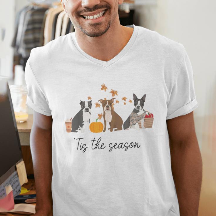 Boston Terrier Fall Pumpkin Tis The Season Autumn Women Men's V-Neck T-Shirt, funny gift
