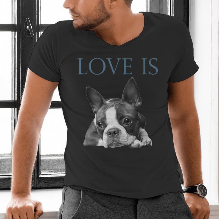 Love Is Boston Terrier Bostie Men's V-Neck T-Shirt, gift for family, gift for coworker