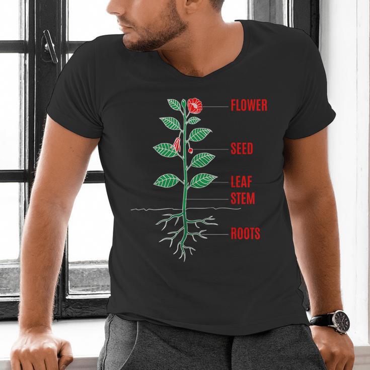 Parts Of a Plant Science For Teachers Kids And Students Men's V-Neck T-Shirt, Science Teacher Shirts, gift for family, gift for coworker