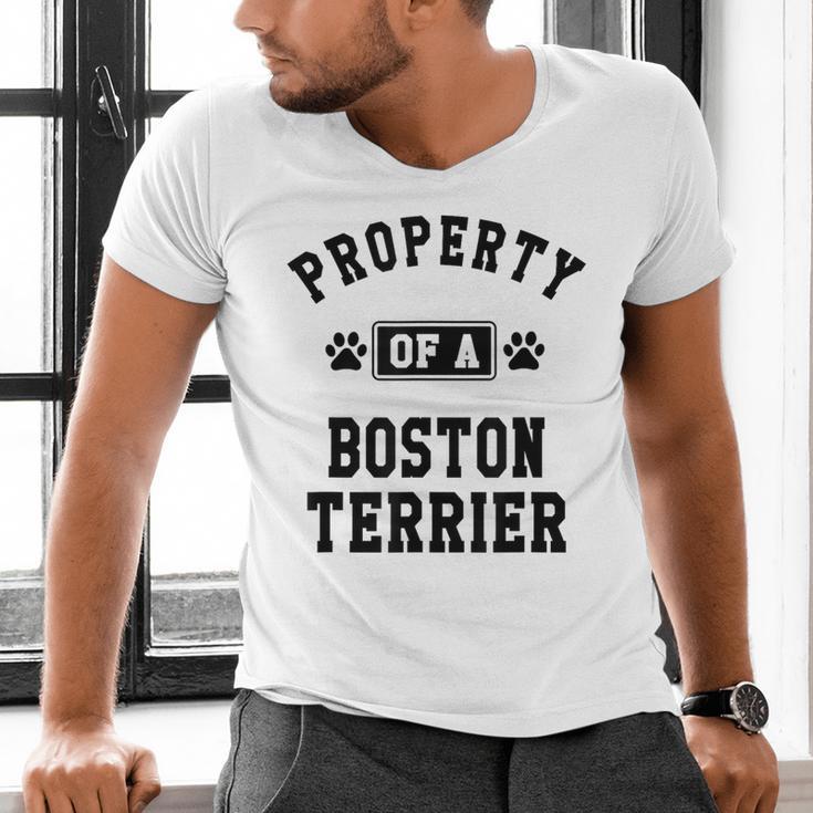 Property Of Boston Terrier Boston Terrier Shirt Men's V-Neck T-Shirt, gift for family, gift for coworker