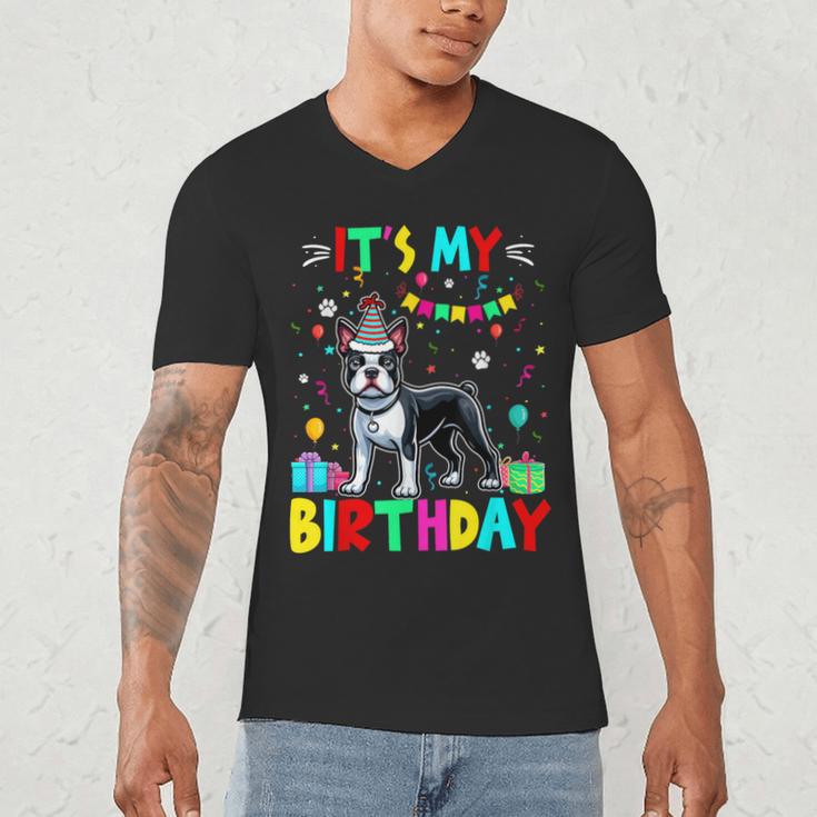 My Birthday Colorful Costume Boston Terrier Party Men's V-Neck T-Shirt, novelty gifts, funny gifts