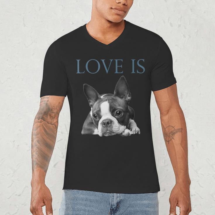 Love Is Boston Terrier Bostie Men's V-Neck T-Shirt, novelty gifts, funny gifts