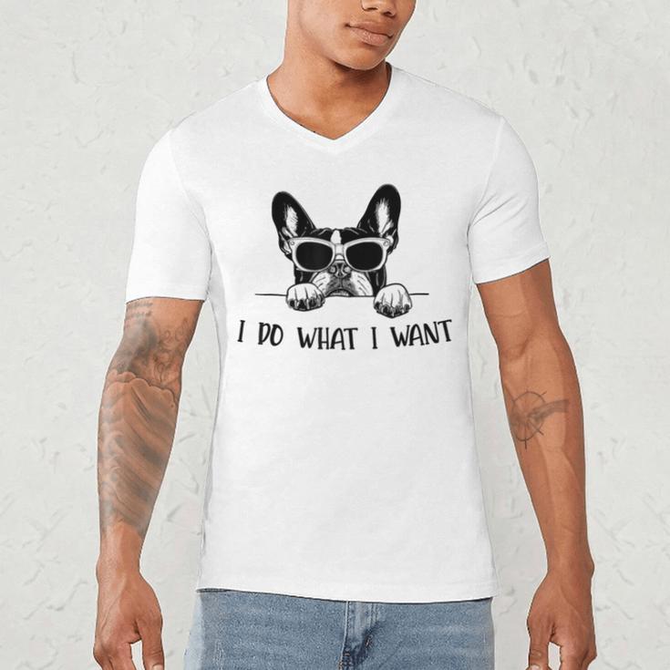Boston Terrier Dog Owner I Do What I Want Pet Men's V-Neck T-Shirt, novelty gifts, funny gifts