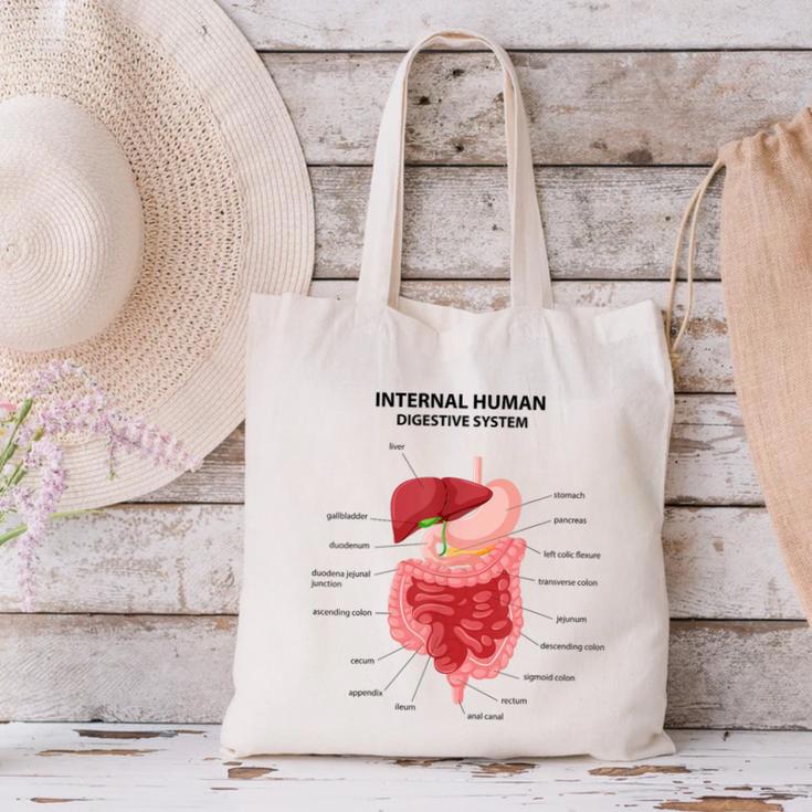 Digestive System Anatomy Anatomical Biology Teacher Men Women Canvas Tote Bag, gift for family, gift for coworker Digestive System Anatomy Anatomical Biology Teacher Men Women Canvas Tote Bag, gift for family, gift for coworker