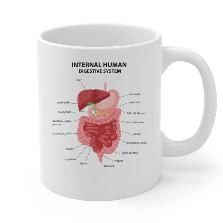 Digestive System Anatomy Anatomical Biology Teacher Men Women Graphic Print Coffee Mug